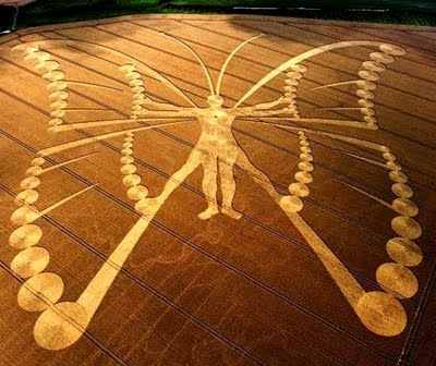 crop circle butterfly-man Netherlands