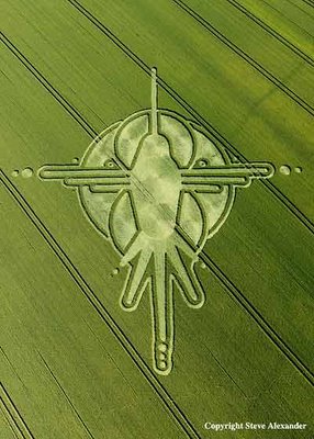 crop circle hummingbird