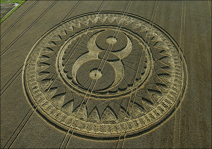 crop circle owl Woodborough Hill Nr Alton Barnes Wiltshire 20090810 2