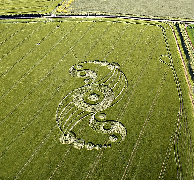 crop circle tri-yin-yang