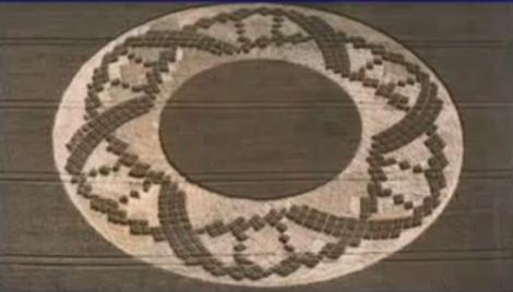 dna crop circle