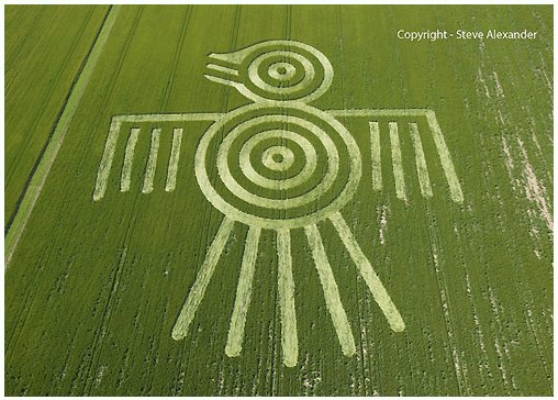 phoenix crop circle