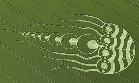 jellyfish-crop-circle-001