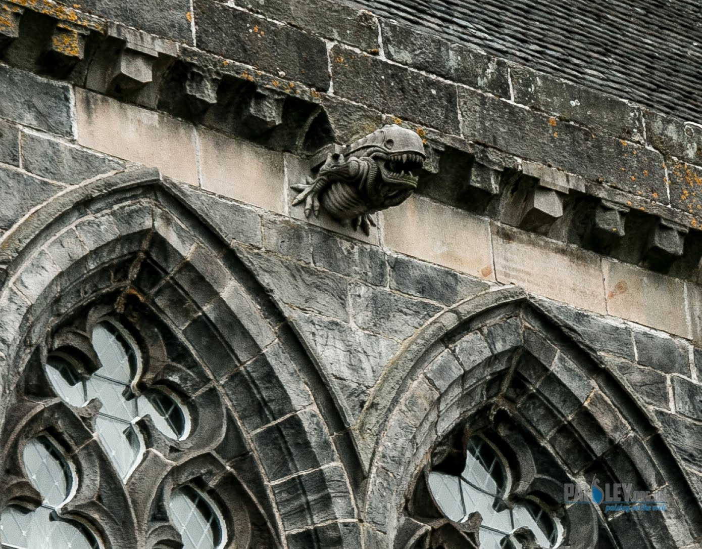 xenomorph gargoyle 10 Paisley Abbey 17276