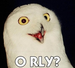 o rly owl