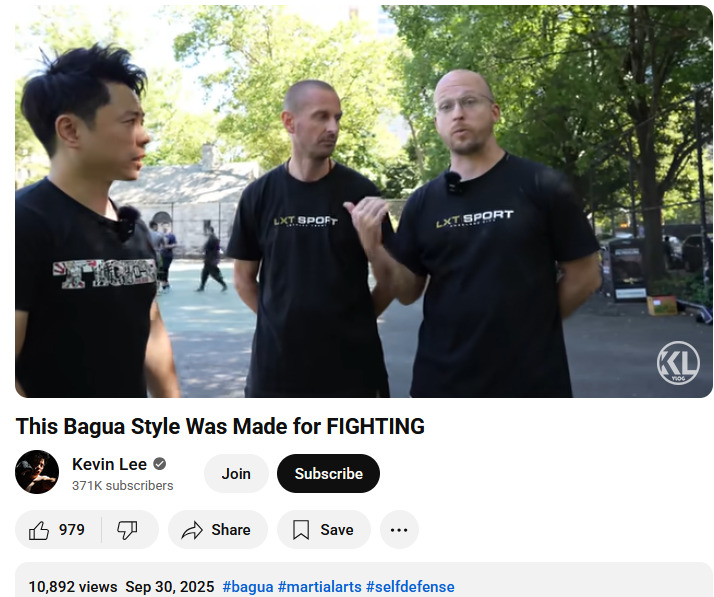 Bagua palm Kevin Lee 2025-09-30 29e86