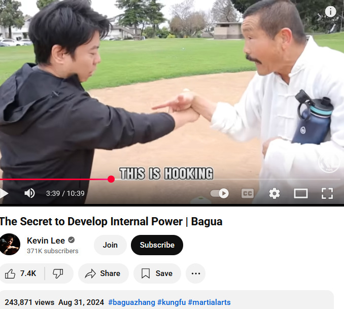 Bagua palm Kevin Lee 2025-09-30 2a186